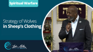 02 Strategy of Wolves in Sheeps Clothing 0